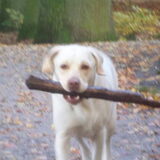 Foto van esther