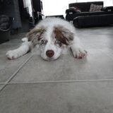 Foto van Vivian   <3    Sem