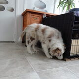 Foto van Vivian   <3    Sem