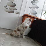 Foto van Vivian   <3    Sem