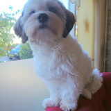 Mannie