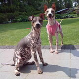 Nomy en Kyra samen, zomer 2012