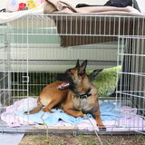 Mee op reis met de caravan