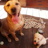 superschattig ;-) samen met men vader zijn hond