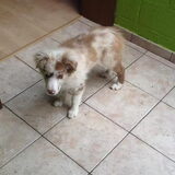 Foto van Vivian   <3    Sem