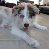 Foto van Vivian   <3    Sem