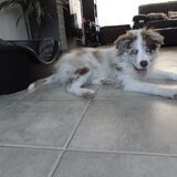 Foto van Vivian   <3    Sem