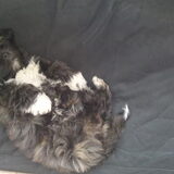 Foto van Wendy