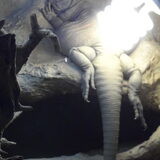 een hagedis met overgewicht haha!!