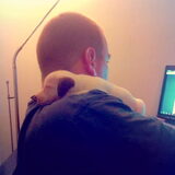 Banshee heerlijk slapen bij de baas :)