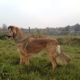 Foto van Sanne
