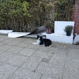 Foto van Vivian   <3    Sem