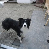 Foto van Vivian   <3    Sem