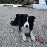 Foto van Vivian   <3    Sem