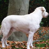Foto van esther