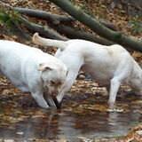Foto van esther