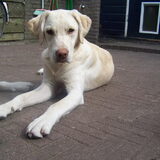 Foto van esther