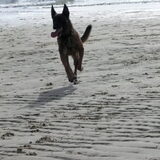 Lux alweer 9 jaar!