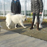Foto van Team Black & White