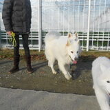 Foto van Team Black & White