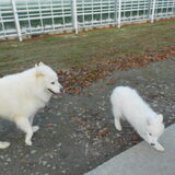 Foto van Team Black & White