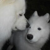 Foto van Team Black & White