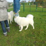 Foto van Team Black & White