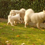 Foto van Team Black & White