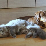 Lekker relaxen