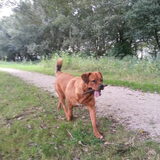 Foto van Kyra