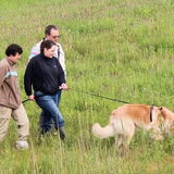 Eerste speurles voorjaar 2012