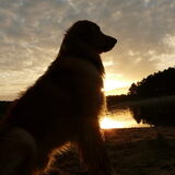 22-10-2012 Zandeplas Nunspeet