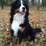 herfstfoto