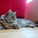 Lekker relaxen