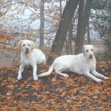 ligt niet lekker op zo'n bult..