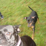 pebbles en percy :p