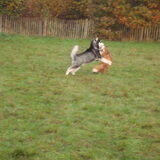 goa aan het spelen met een look a like :p
