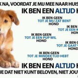 Foto van Carla, Charlie & Douwe