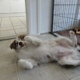 Foto van Vivian   <3    Sem