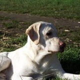 Foto van esther