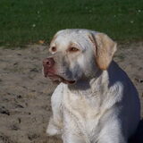 Foto van esther