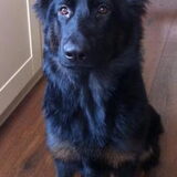 Foto van Beau