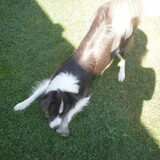 even spelen met het flesje van yannick ;)