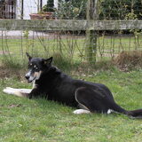 Foto van Cornelie