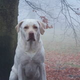 Foto van esther