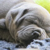 Sleeper!!