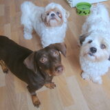 Camila, Deva en Sammy