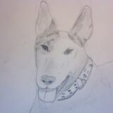 Bink, van Hannah getekend
