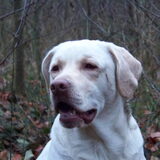 Foto van esther
