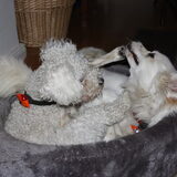 Foto van mieke
